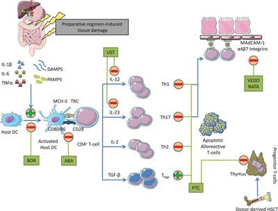 Post-transplantation Cyclophosphamide: From HLA-Haploidentical to Matched-Related and Matched-Unrelated Donor Blood and Marrow Transplantation